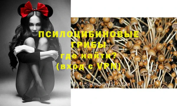 гидропоника Остров