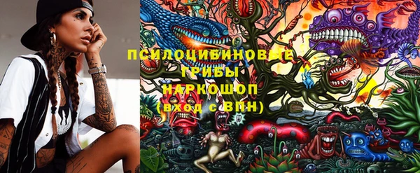 альфа пвп Осинники