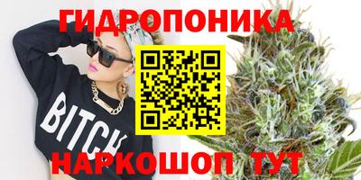спиды Тверь