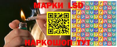 гидропоника Тара