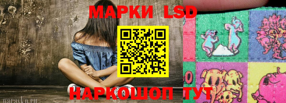 Шебекино  Марки NBOMe 1,5мг  где найти   Марки NBOMe 1,5мг  Вход с VPN 