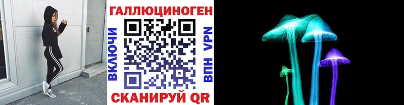 MEGA ССЫЛКА  Шебекино  Псилоцибиновые грибы GOLDEN TEACHER 